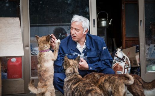 мужчина кормит собак