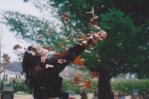 весточка осени, листопад