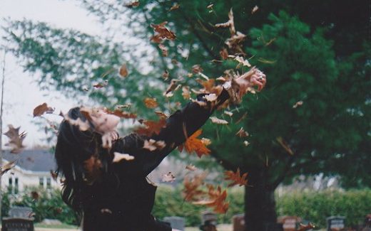 весточка осени, листопад