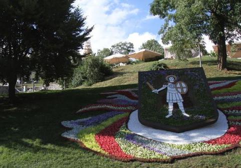 выставка цветы 1 выставка цветы 1