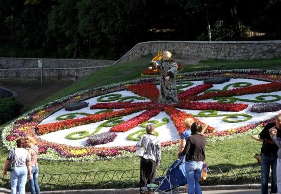 выставка цветы 4 выставка цветы 4