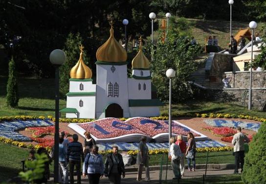 выставка цветы2 выставка цветы2