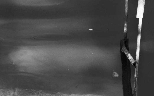 Фото Оксаны Сокол